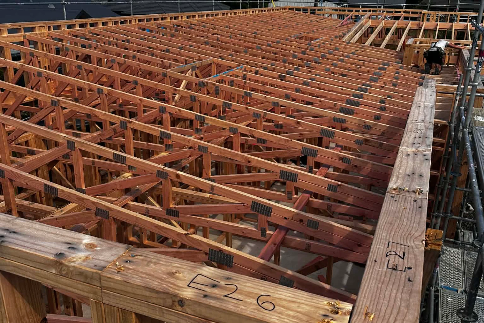 building a house in Dunedin, Otago